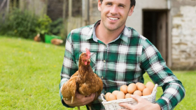 Росптицесоюз рассказал о рекордном производстве яиц